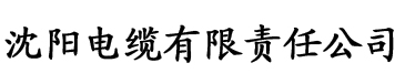 全职高手之一个人的全息网游电缆厂logo